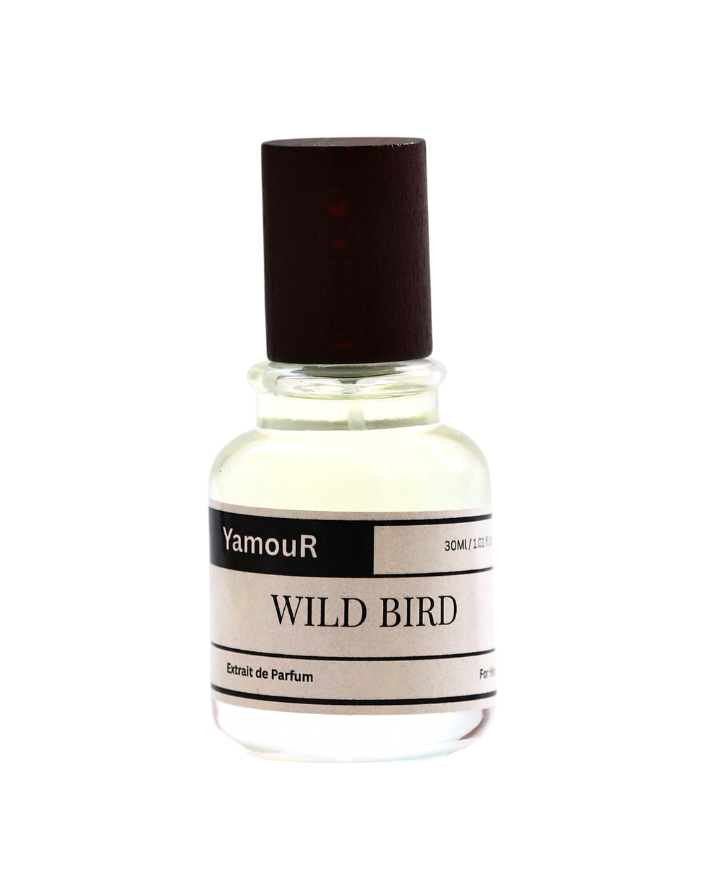 WILD BIRD