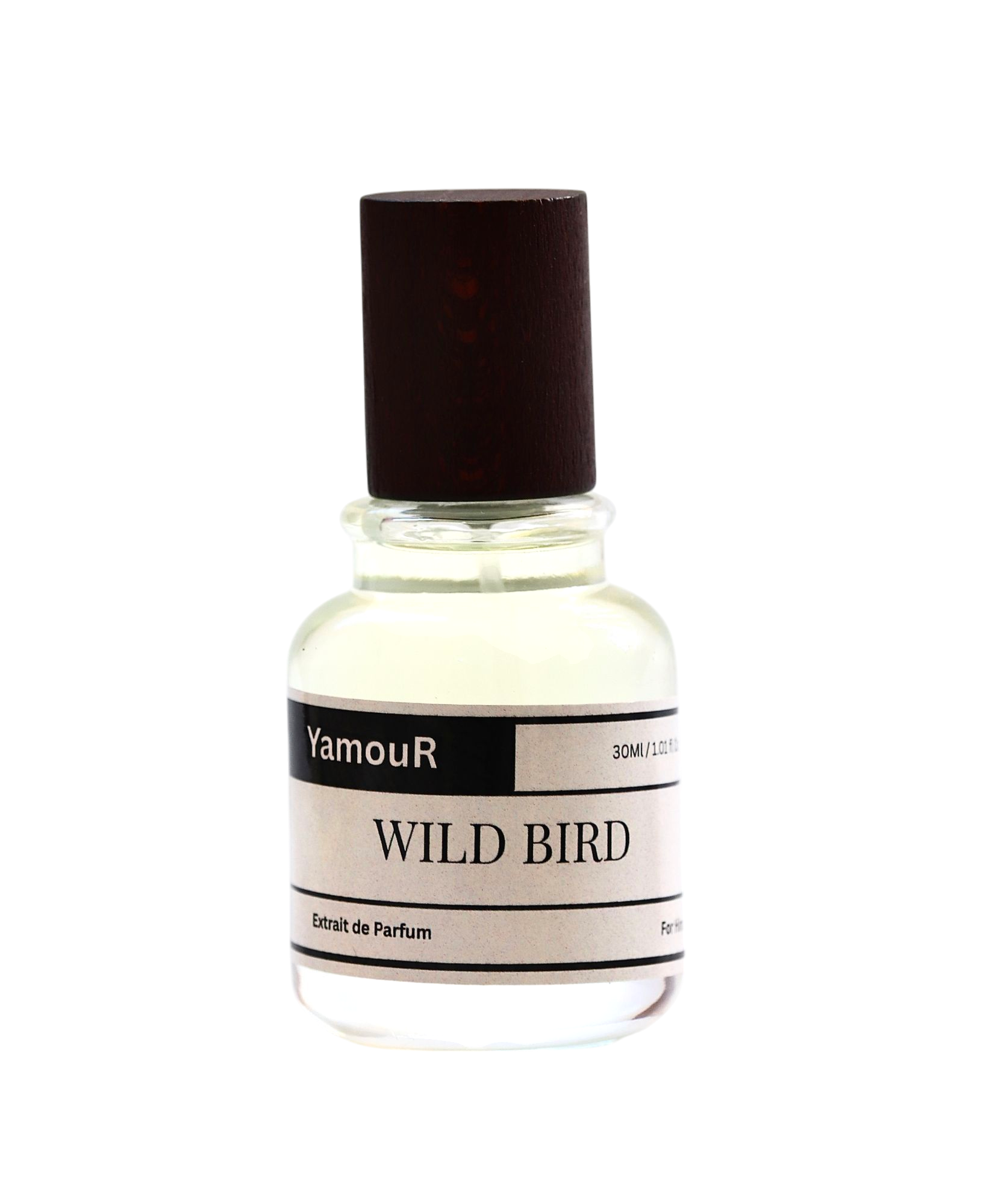 WILD BIRD